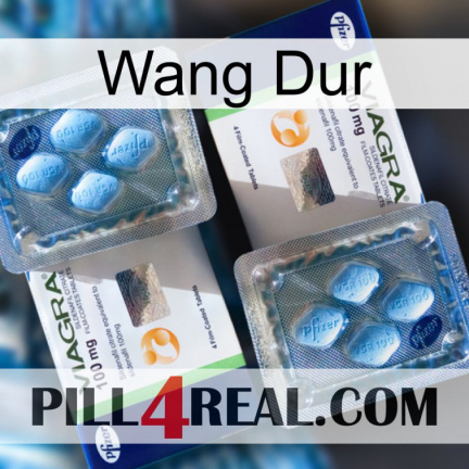 Hard Wang viagra5